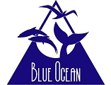 Blue Ocean Society